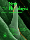 new-phytologist-december-2015-cover