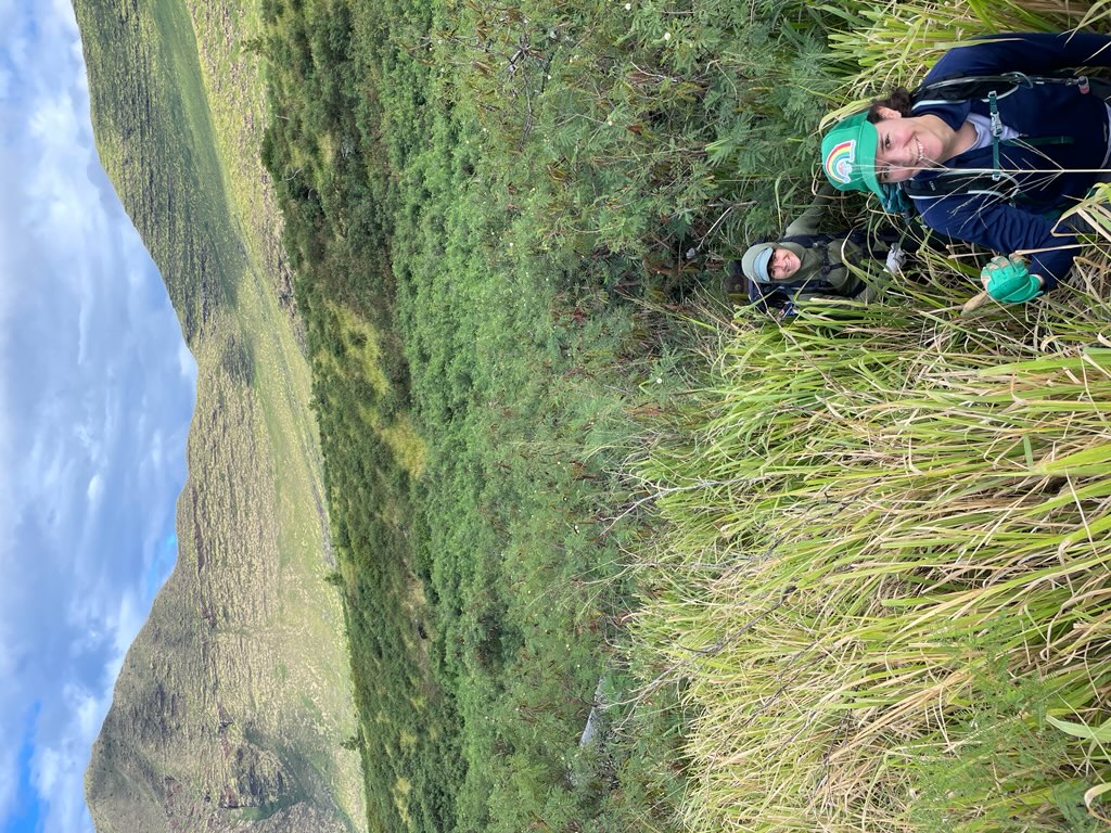 Field excursion - Hynson Lab