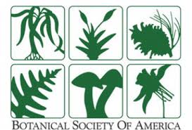New Pub on Plant-Fungal Interactions!