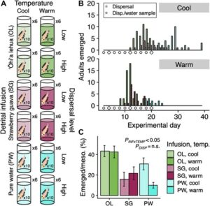 New publication on bacterial-invertebrate symbioses in ISME Journal
